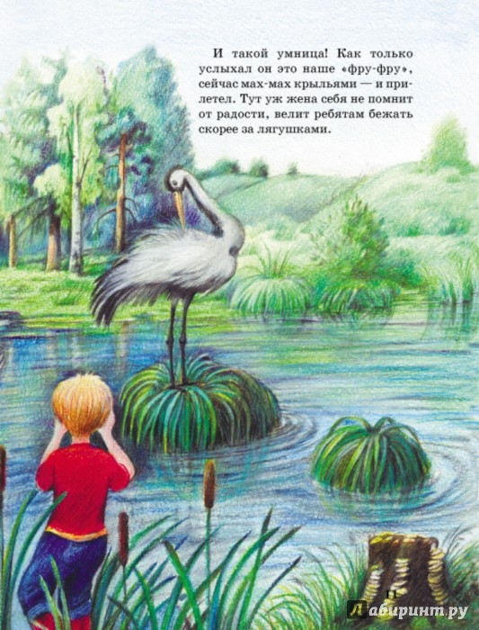 Иллюстрация 11 из 47 для Рассказы о животных - Михаил Пришвин | Лабиринт - книги. Источник: Лабиринт