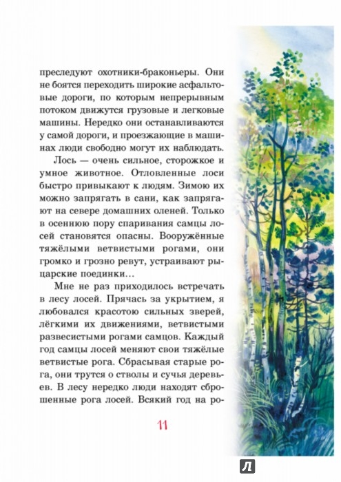 Иллюстрация 10 из 32 для Русский лес - Иван Соколов-Микитов | Лабиринт - книги. Источник: Лабиринт