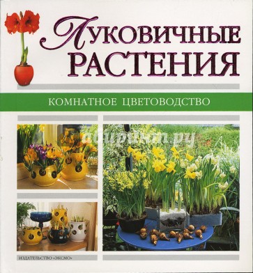 Луковичные растения