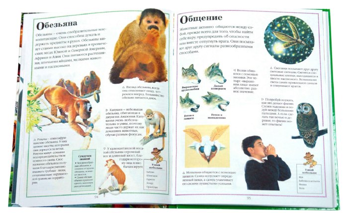 Иллюстрация 2 из 12 для Всё о животных. От А до Я | Лабиринт - книги. Источник: Лабиринт