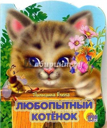 Любопытный котенок