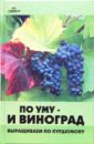 Шувалов Н. По уму - и виноград: Выращиваем по Курдюмову шувалов н по уму и виноград выращиваем по курдюмову