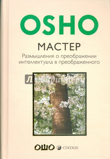 Мастер: Размышления о преображении интеллектуала в просветленного