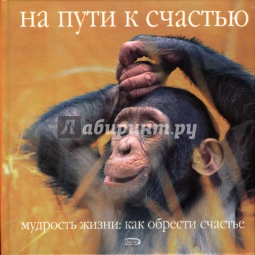 На пути к счастью. Мудрость жизни: как обрести счастье