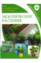 Экзотические растения бондарева о б экзотические растения