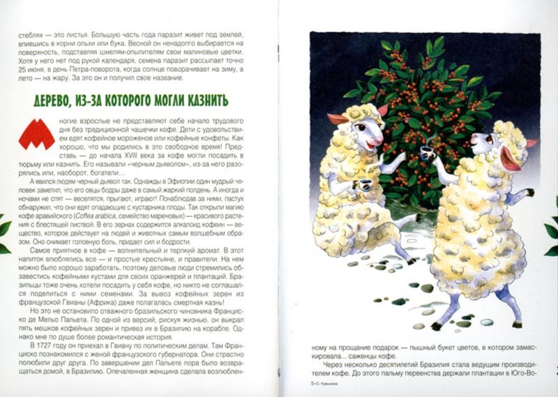 Иллюстрация 2 из 28 для Клад на подоконнике: секретные материалы садовода - Ольга Кувыкина | Лабиринт - книги. Источник: Лабиринт