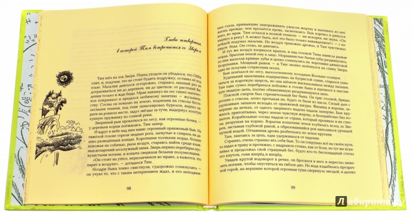 Иллюстрация 1 из 32 для Тим и Дан, или Тайна