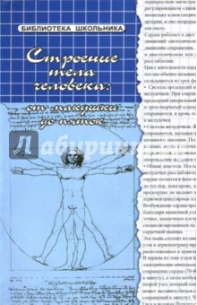 Обложка книги Строение тела человека: от макушки до пяток, Соколова Наталья Глебовна