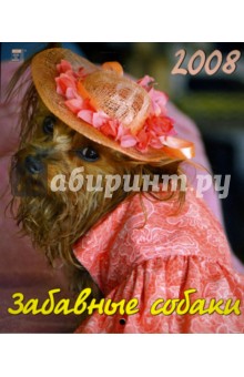 Календарь 2008 Забавные собаки (40703).