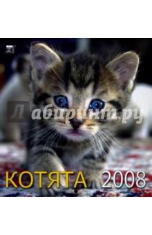 Календарь 2008 Котята (30701).
