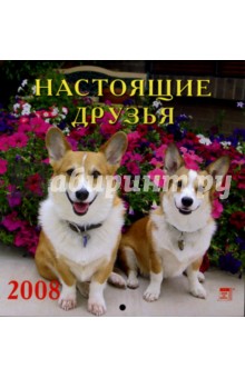 Календарь 2008 Настоящие друзья (30703).