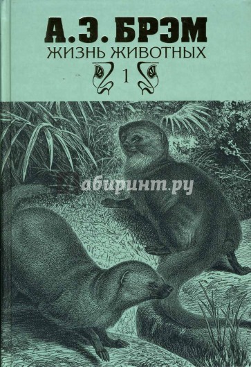 Жизнь животных том 1. Жизнь животных Брэма том 1. Жизнь животных. В трех томах. Том 1. млекопитающие книга. Брэм млекопитающие. Брэм Зоология.