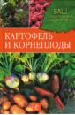 Картофель и корнеплоды - Комарова Татьяна, Непорожняя Евгения