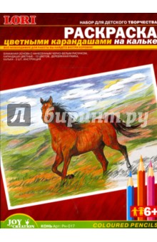 Раскраска цветными карандашами: Конь (Рн017).