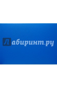 Папка картонная (2072001PL-10) на липучке (голубая).