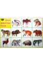 Плакат Дикие животные России (50х70 см) учебный плакат французский язык животные а2