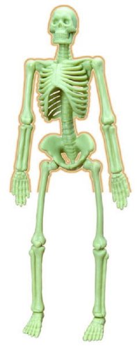 Иллюстрация 1 из 4 для Набор "Скелет человека" (38541) | Лабиринт - игрушки. Источник: Лабиринт