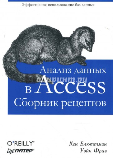 Анализ данных в Access. Сборник рецептов