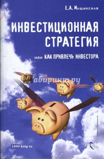 Инвестиционная стратегия, или Как привлечь инвестора