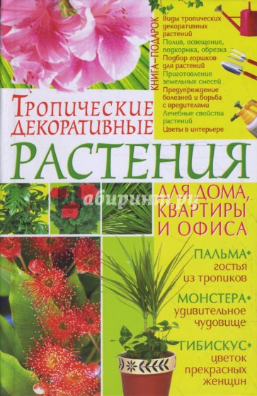 Тропические декоративные растения для дома, квартиры и офиса