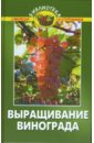 Эксузян А. А. Выращивание винограда горбунов в выращивание винограда