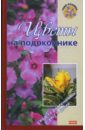 Бердникова О.В., Борисова А.В. Цветы на подоконнике цена и фото