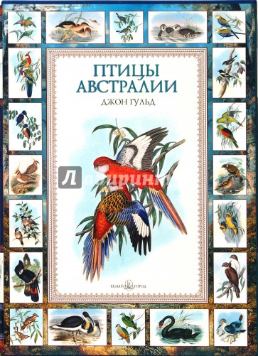 Белый город птицы. Книга птицы Австралии Гульд. Джон Гульд птицы Австралии. Птицы Австралии белый город. Джон Гульд книга.