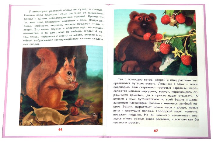 Иллюстрация 2 из 25 для Настоящая ботаника для мальчиков и девочек - Антонина Лукьянова | Лабиринт - книги. Источник: Лабиринт