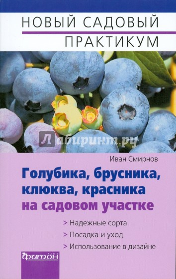 Голубика, брусника, клюква на садовом участке