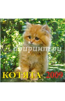Календарь 2009 Котята (70805).