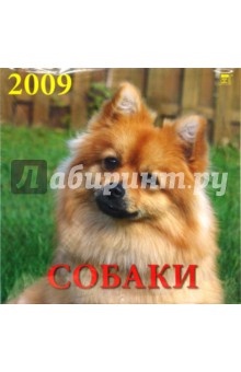 Календарь 2009 Собаки (70820).