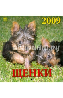 Календарь 2009 Щенки (30804).