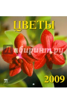 Календарь 2009 Цветы (30816).