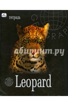 Тетрадь 48л  клетка ТКЛ8481595 GEO Леопард.