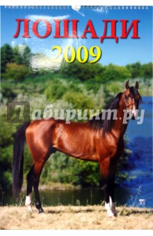 Календарь 2009 Лошади 12808.