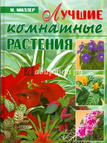 Лучшие комнатные растения