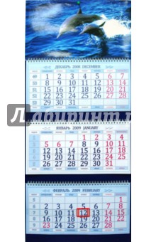 Календарь 2009 3-х секционный. Дельфины.