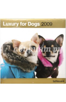 Календарь Великолепные собаки 2009 (2825-0).