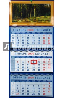 Календарь 2009 Корабельная роща (16817).