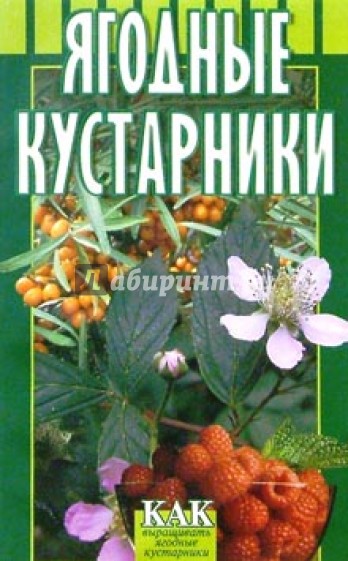 Ягодные кустарники