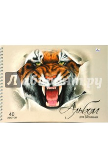 Альбом для рисования 40 листов (АП40311) Тигр.