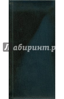 Ежедневник карманный 2009 (серебряный обрез, в коробке) (72711491).