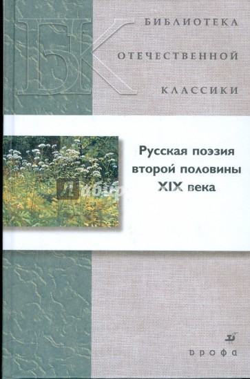 Поэзия второй половины 19. Русская поэзия второй половины XIX века.. Русская поэзия второй половины 19 века кратко. Русская поэзия второй половины 19 века Дрофа. Русская поэзия второй половины 19 века Дрофа купить.