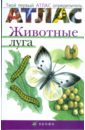 Бровкина Евгения Тихоновна, Сивоглазов Владислав Иванович Атлас: Животные луга (3906)