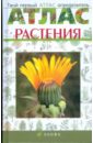 Твой первый атлас-определитель. Растения - Козлова Татьяна Александровна, Сивоглазов Владислав Иванович
