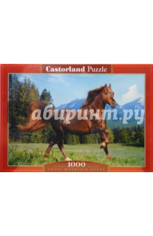 Puzzle-1000. Лошадь (С-101757).