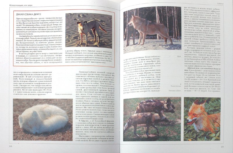 Иллюстрация 2 из 36 для Энциклопедия для детей. Птицы и звери (+CD) | Лабиринт - книги. Источник: Лабиринт