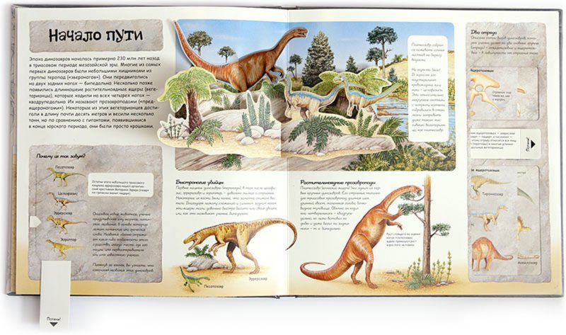 Иллюстрация 3 из 29 для Динозавры | Лабиринт - книги. Источник: Лабиринт