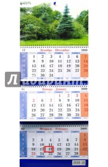 Календарь 2009 Ель (14).
