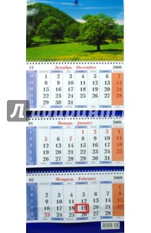 Календарь 2009 Дерево. Гора (12).